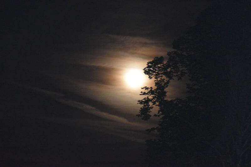 Moonlit Kisses