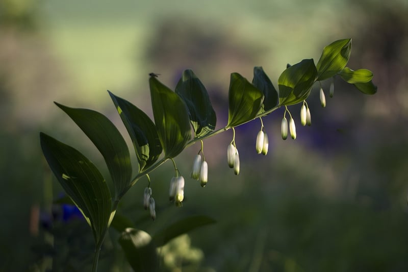Wildflower Charm