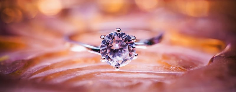 Wedding Rings in the Woods